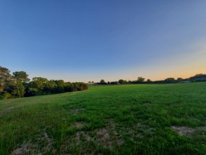 Take an evening walk soaking up the sounds of nature.