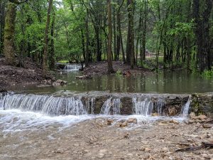 Three natural springs join together in the heart of the property.