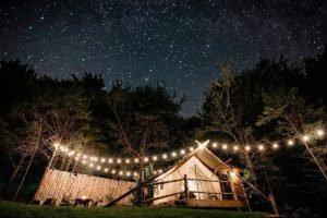 Why Choose Ozark Mountain Adventure for Your Branson Stay