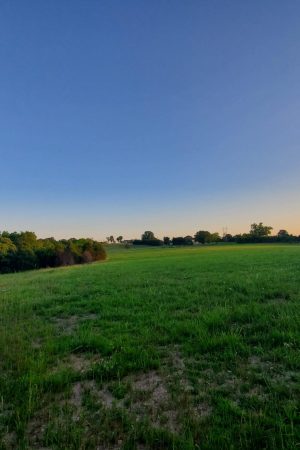 Take an evening walk soaking up the sounds of nature.