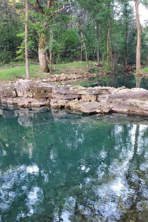 Piper Creek nestled on the beautiful fifty-eight acres.