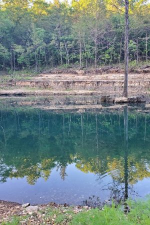 Enjoy the bluff overlooking Piper Creek.