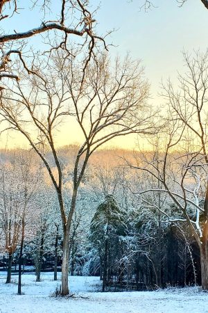 Snuggle up by the fire and enjoy the sunrise at Base Camp.