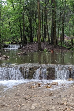 Three natural springs join together in the heart of the property.