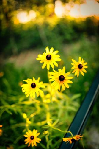 OzarkMountainAdventures-57