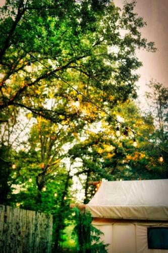 OzarkMountainAdventures-7
